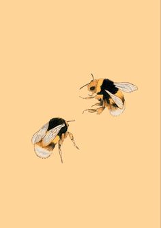 two bees flying side by side in the air