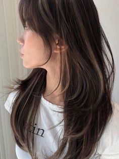 winter Korean hair color: highlights Hair Color For Cool Skin Tones Asian, Hair Color Ideas Japanese, Hair Colour For Neutral Undertone, Hair Color For Winter Palette, Brown Hair Color Asian, Brown Hair With Dark Brown Highlights, Hair Dye Ideas Asian, Asian Hair Brown, Dyed Hair Korean