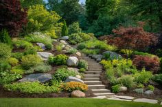 a garden with steps leading up to the trees