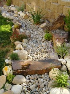 rocks and plants are in the garden with text that reads rocky landscaping ideas on it