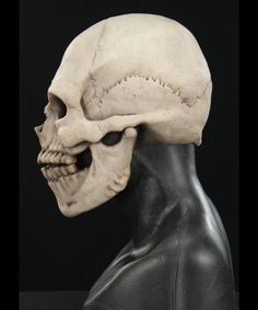 a white human skull with an open mouth