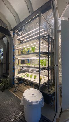 an indoor greenhouse with plants growing in it