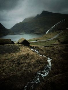 a stream running through the grass towards a mountain lake