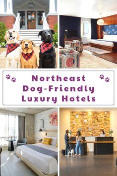 four photos with the words north east dog - friendly luxury hotels