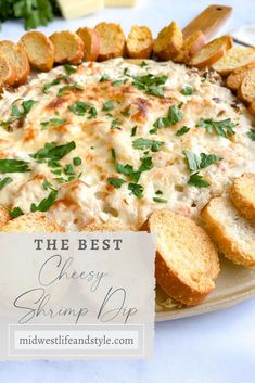 the best cheesy shrimp dip with breadsticks and parmesan cheese