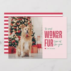 a card with a dog sitting in front of a christmas tree