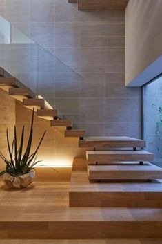 an indoor stair case with wooden steps leading up to the second floor and another plant on the other side