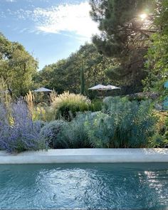 an outdoor swimming pool surrounded by plants and trees