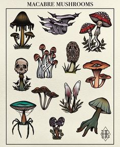 an image of various mushrooms on a white paper with the words macaree mushrooms