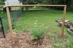 a fenced in yard with a tree stump and plant growing out of the ground