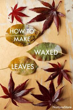 three leaves with the words how to make waxed leaves