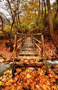 a wooden bridge over a stream surrounded by leaves on the ground and trees in the background