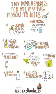 natural bug bite remedies I don't know if these will "actually" work BUT living in the Mid-West and seeing how Mosquitos LOVE me I'm for sure going to try these out!!!! Mosquito Bite Relief, Remedies For Mosquito Bites, Bug Bites Remedies, Bite Relief, Mosquito Bites, Mosquito Bite, E Mc2, Natural Home