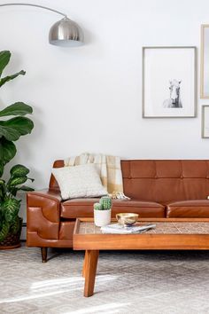 a living room filled with furniture and potted plants on top of a coffee table