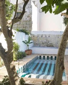 an empty swimming pool in the middle of a courtyard with trees and plants around it