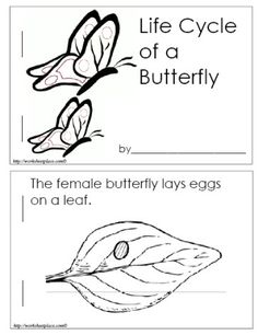 the life cycle of a butterfly is shown in black and white, as well as an image