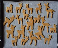 the cookies are shaped like dogs and have been cut out to look like they're ready for baking