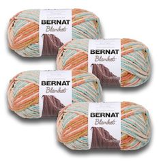 three skeins of bernat blanket yarn in various colors and sizes, on a white background