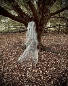 a white net hanging from the side of a tree with leaves on the ground around it