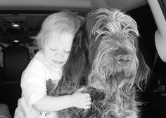 a small child and a dog in the back of a car, looking at each other