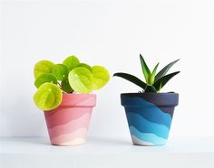 two potted plants sitting next to each other on top of a white countertop