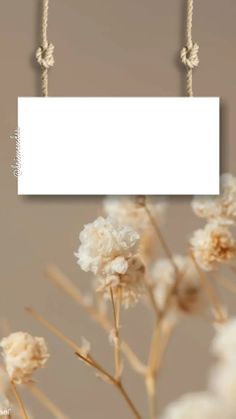 a white sign hanging from the side of a wall next to some dried flowers and twine