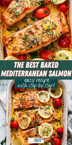 the best baked mediterranean salmon recipe with lemons and tomatoes in a casserole dish