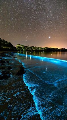 the stars are shining in the sky above the water and sand on the beach at night