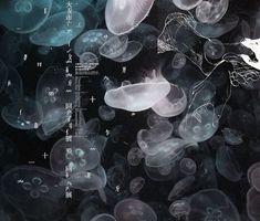 an image of jellyfish in the water with chinese characters on it's side