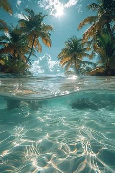 an underwater view of palm trees in the ocean with clear blue water and sunlight shining through them