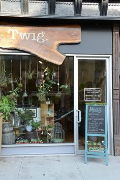 a store front with potted plants in the window and hanging from the outside wall