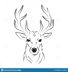 the head of a deer with large antlers on it's face is drawn in black and white