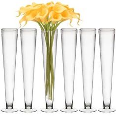 five tall clear vases with yellow flowers in the bottom one is filled with water