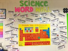 a science word wall with posters and magnets on it