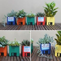 four photos of different colored planters with plants growing out of them and on top of each other