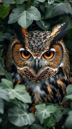 an owl is sitting in the middle of some leaves