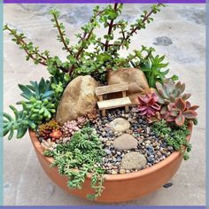 a potted plant with rocks and plants in it