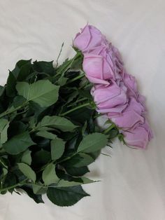 a bouquet of pink roses and green leaves on a white sheeted surface with the stems still attached