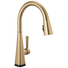 the pull down kitchen faucet is shown in gold