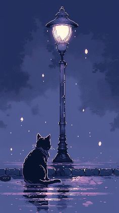 a cat sitting on the ground next to a street light at night with stars in the sky