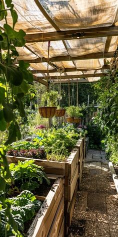 an outdoor garden with lots of plants and hanging planters in it's center