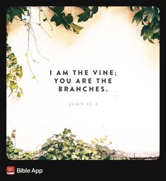 the bible verse is written on a white wall with green leaves and vines around it