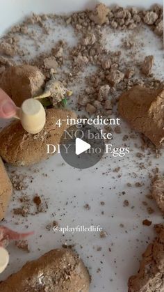 a bowl filled with dirt and eggs