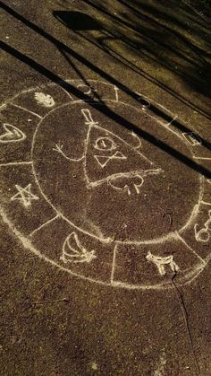 an animal drawn in chalk on the ground