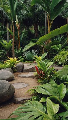 a stone path surrounded by tropical plants and trees