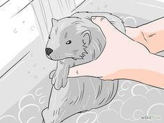 an animal is being washed in the bathtub by someone's hand with soap on it