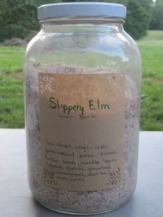 Slippery Elm Bark, Digestive Tract, Slippery Elm, Irritable Bowel, Leaky Gut, Herbal Blends, Healing Herbs, Alternative Health