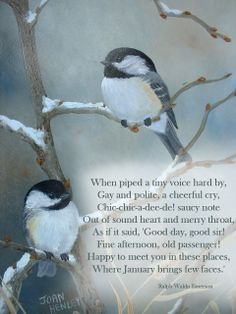 two birds sitting on top of a tree branch in front of a snow covered sky