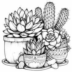 a black and white drawing of succulents in pots on a saucer