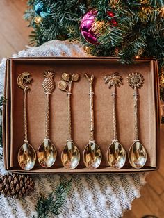 six spoons in a box with pine cones on the top and palm trees on the bottom